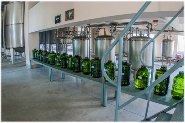 Vodka distillery in Ternopil region